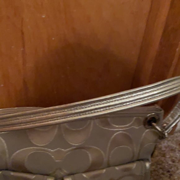 Silver Coach - Picture 5 of 11